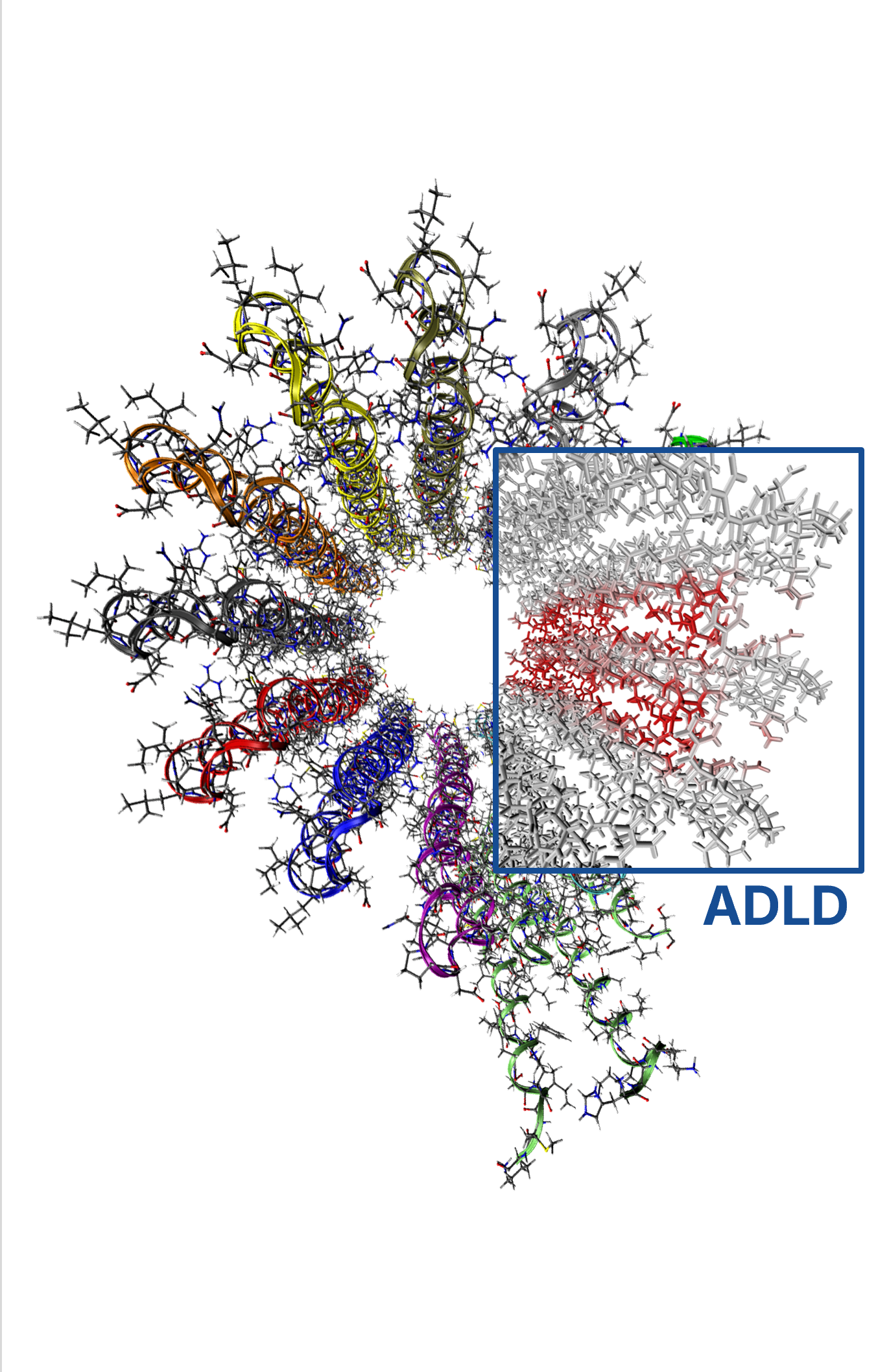 Noncovalent Interactions